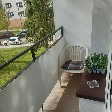 Arenastaylodz *