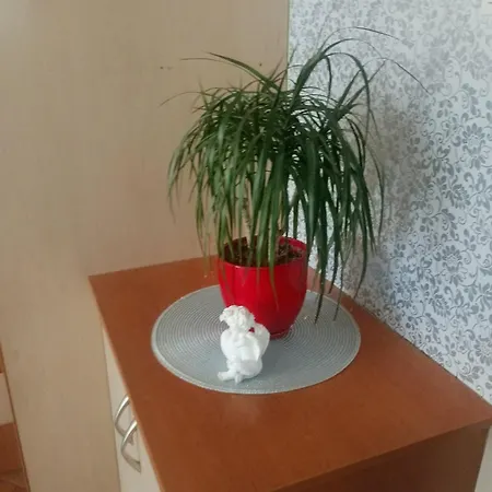 Arenastaylodz Apartman Łódź
